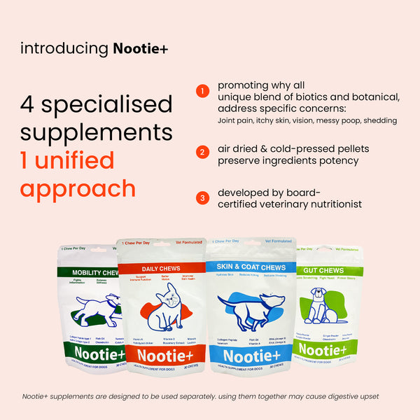 Nootie+ Multivitamin Daily Chews Supplement for Dogs