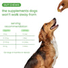 Nootie+ Digestive & Probiotic Gut Chew Supplement for Dogs Dogs-Health & Wellness Nootie