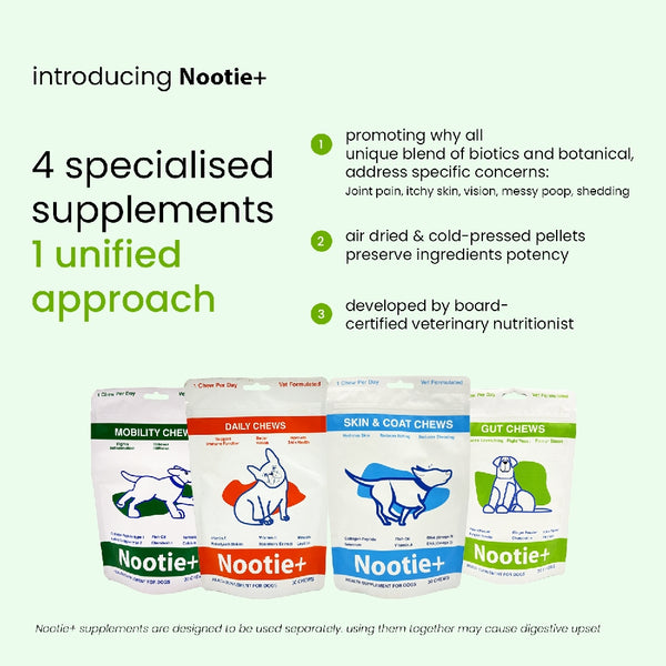 Nootie+ Digestive & Probiotic Gut Chew Supplement for Dogs