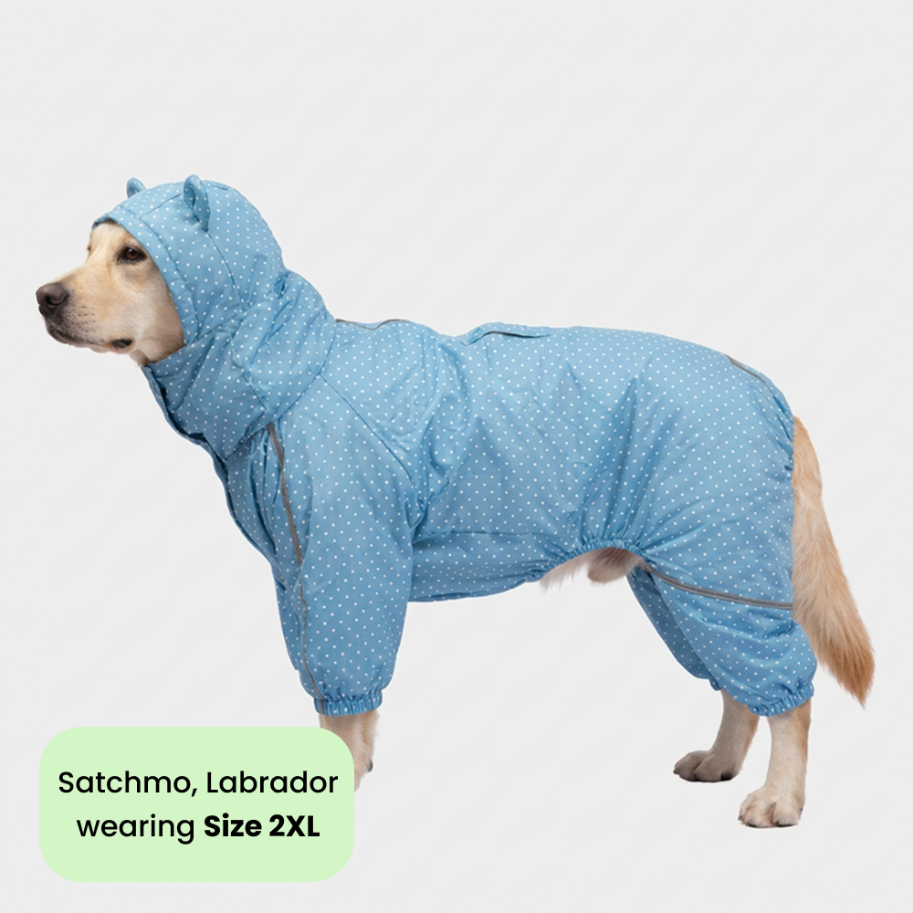 Skatrs Drizzle Dazzle Raincoat for Dogs (Light Blue) Dogs-Clothing & Accessories Skatrs