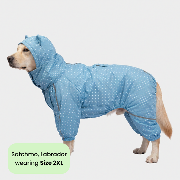 Skatrs Drizzle Dazzle Raincoat for Dogs (Light Blue)
