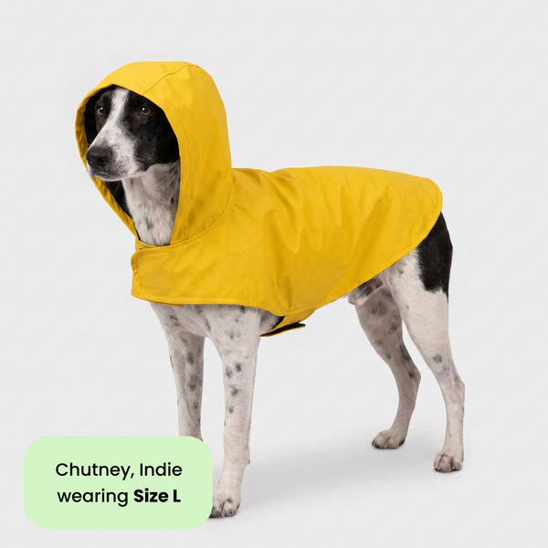 15 Furries Urban Waterproof Raincoat for Dogs (Yellow)