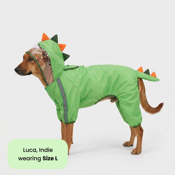 Barkbutler x Fofos Four Leg Dinosaur Raincoat for Dogs (Green)