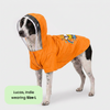 Pets Way Mistiq Orange Rainbhaw Raincoat for Dogs