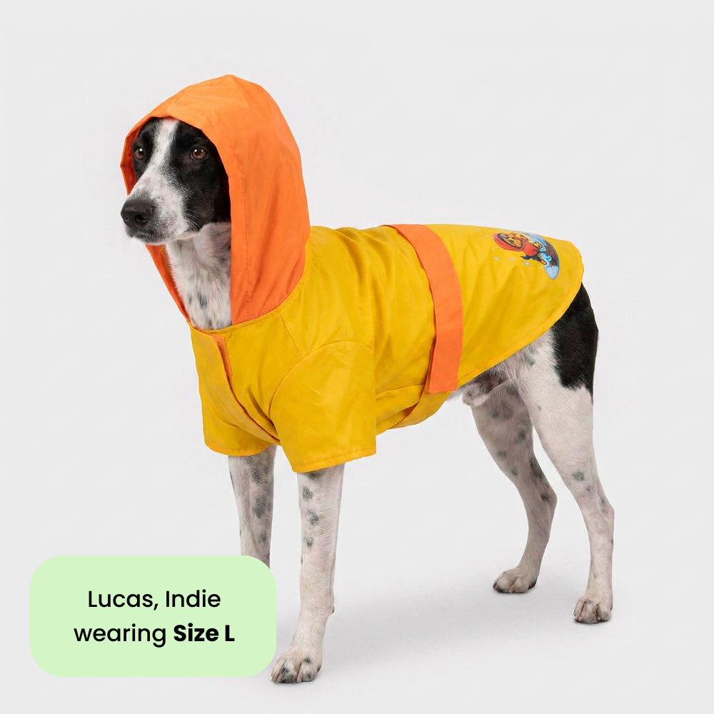 Thunder Dog Raincoat for Dogs (Yellow Orange) Dogs-Clothing & Accessories Pets Way Dropship