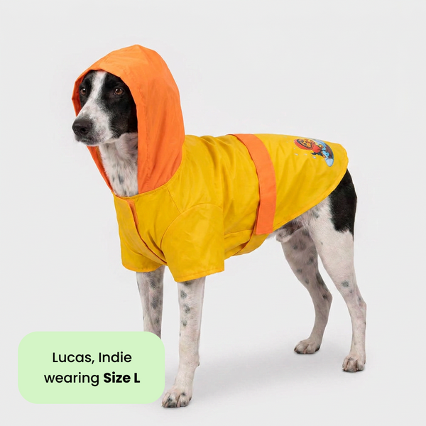 Thunder Dog Raincoat for Dogs (Yellow Orange)
