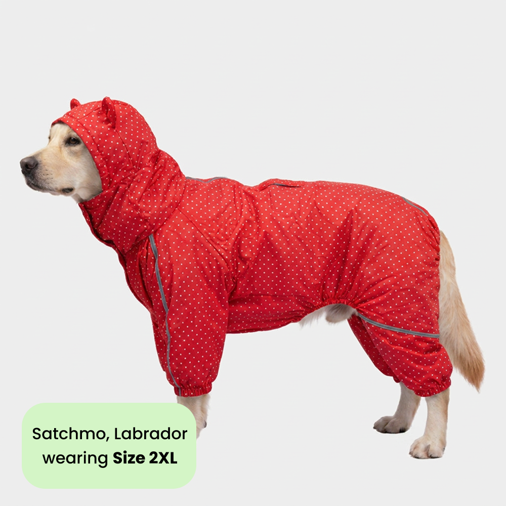 Skatrs Rain Ranger Raincoat for Dogs (Red) Dogs-Clothing & Accessories Skatrs