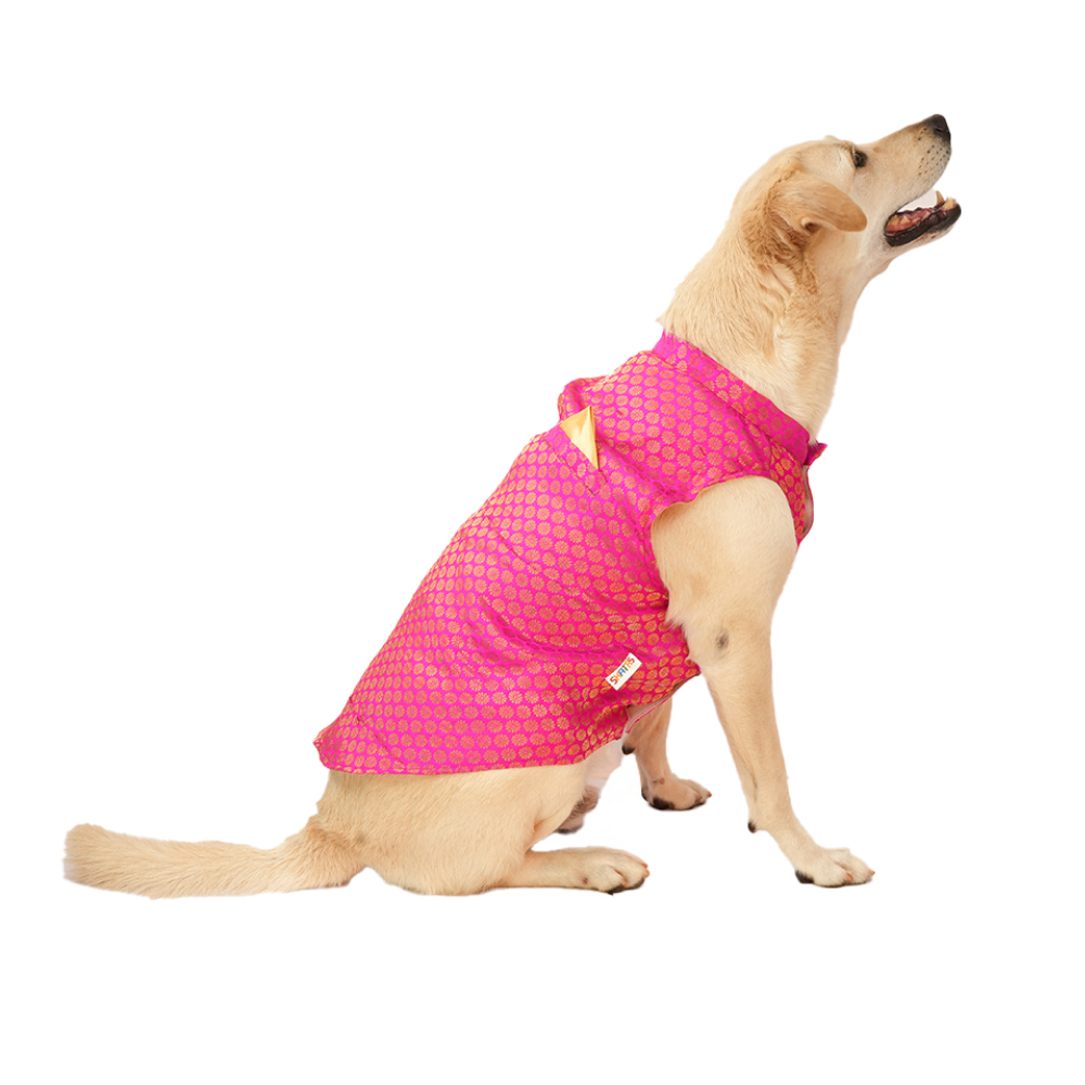 Skatrs Brocade Gold Printed Sherwani for Dogs and Cats (Pink) Both-Clothing & Accessories Skatrs