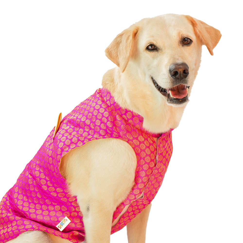 Skatrs Brocade Gold Printed Sherwani for Dogs and Cats (Pink) Both-Clothing & Accessories Skatrs