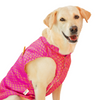 Skatrs Brocade Gold Printed Sherwani for Dogs and Cats (Pink) Both-Clothing & Accessories Skatrs