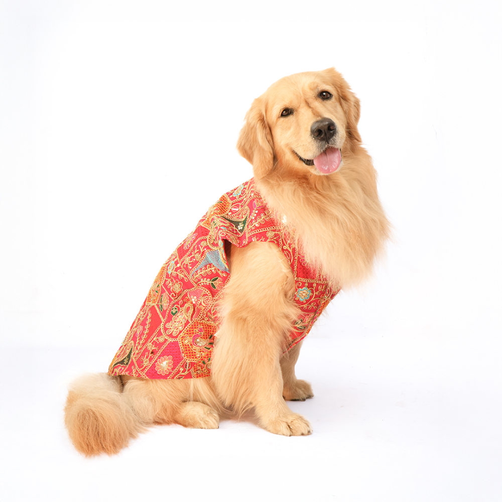 Skatrs Royale Sherwani for cats and dogs (Pink) Both-Clothing & Accessories Skatrs