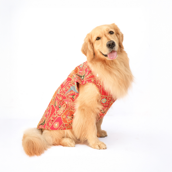 Skatrs Royale Sherwani for cats and dogs (Pink)