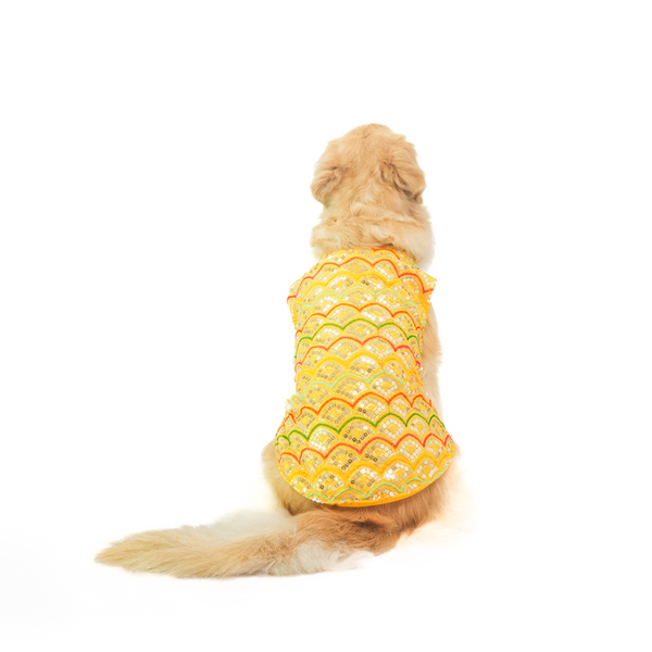 Skatrs Festive Sequence Embroidered Sherwani for Cats and Dogs (Yellow)