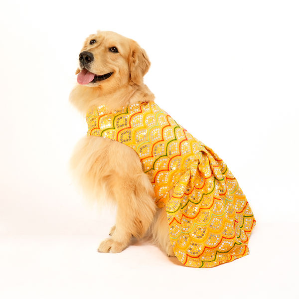 Skatrs Festive Sequence Embroidered Lehenga for Cats and Dogs (Yellow)