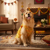 Skatrs Festive Sequence Embroidered Sherwani for Cats and Dogs (Yellow) Both-Clothing & Accessories Skatrs