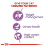 Royal Canin Sterilised/Neutered 37 Adult Cat Dry Food Cats- Dry food Royal Canin