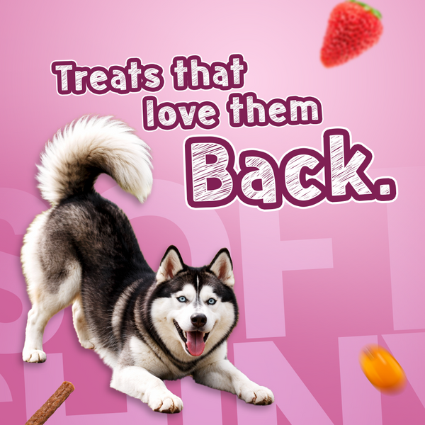 Tails Alive Shinyy+ Strawberry Crush Chicken Chew Sticks for Dogs