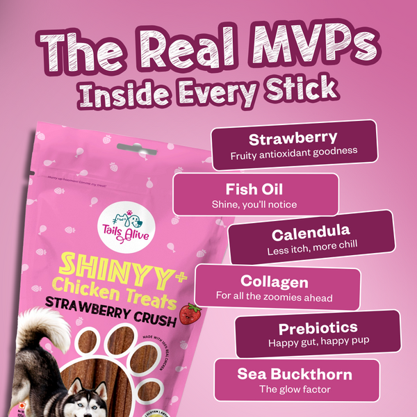Tails Alive Shinyy+ Strawberry Crush Chicken Chew Sticks for Dogs