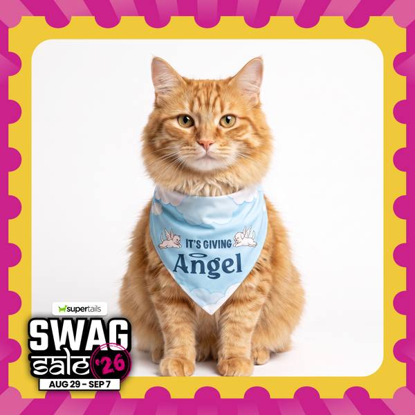 Skatrs Angel/Menace Reversable Bandana for Cats and Dogs