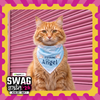 Skatrs Angel/Menace Reversable Bandana for Cats and Dogs Both-Clothing & Accessories Skatrs