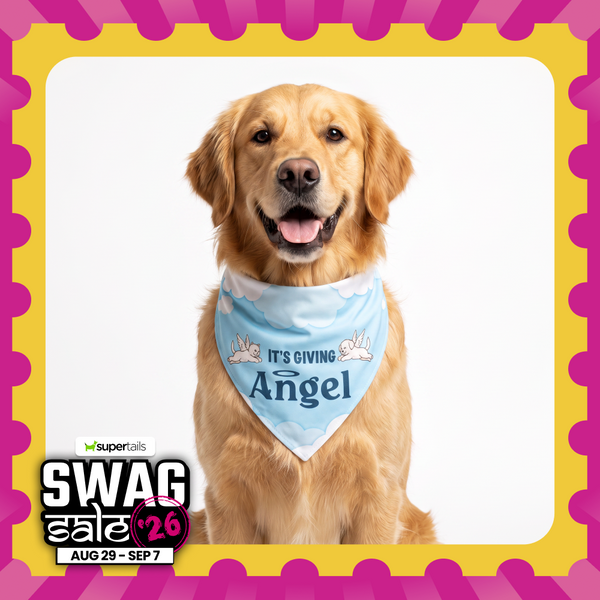 Skatrs Angel/Menace Reversable Bandana for Cats and Dogs