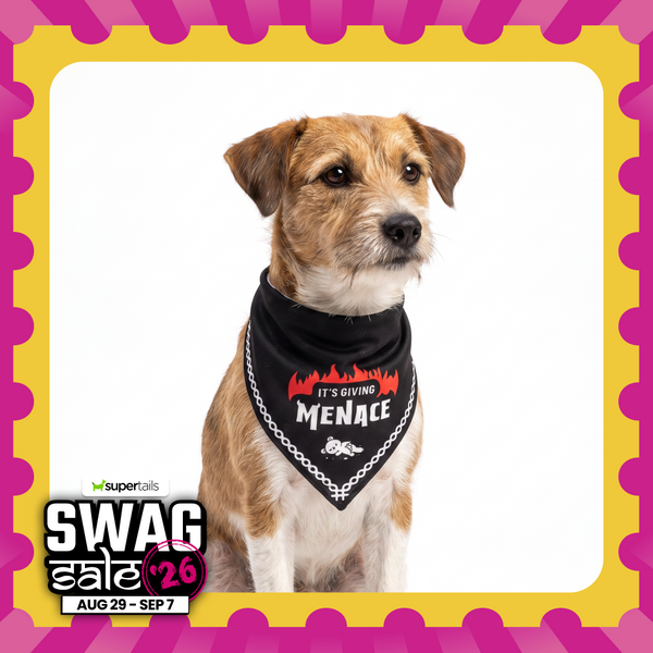 Skatrs Angel/Menace Reversable Bandana for Cats and Dogs