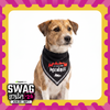 Skatrs Angel/Menace Reversable Bandana for Cats and Dogs Both-Clothing & Accessories Skatrs