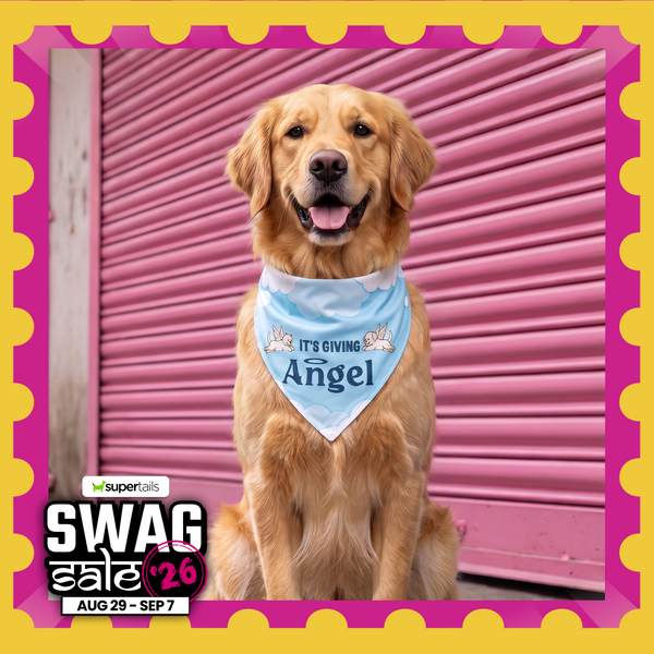 Skatrs Angel/Menace Reversable Bandana for Cats and Dogs