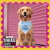 Skatrs Angel/Menace Reversable Bandana for Cats and Dogs Both-Clothing & Accessories Skatrs