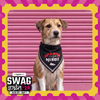 Skatrs Angel/Menace Reversable Bandana for Cats and Dogs Both-Clothing & Accessories Skatrs