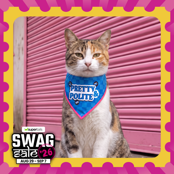 Skatrs Problematic/Polite Reversable Bandana for Cats and Dogs