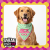 Skatrs Problematic/Polite Reversable Bandana for Cats and Dogs