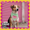 Skatrs Problematic/Polite Reversable Bandana for Cats and Dogs