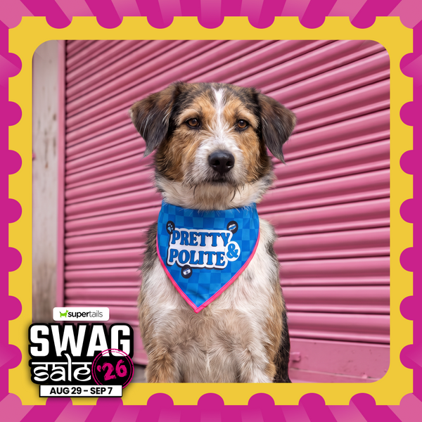 Skatrs Problematic/Polite Reversable Bandana for Cats and Dogs