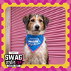 Skatrs Problematic/Polite Reversable Bandana for Cats and Dogs