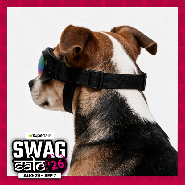 Swag Goggles for Dogs & Cats