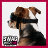 Swag Goggles for Dogs & Cats