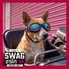 Swag Goggles for Dogs & Cats