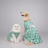 Skatrs Floral Grace Dress for Dogs and Cats (Blue)