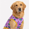Skatrs Dream Pop T-Shirt for Dogs and Cats Both-Clothing & Accessories Skatrs