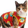 Skatrs Boho Rainbow T-Shirt for Dogs and Cats Both-Clothing & Accessories Skatrs