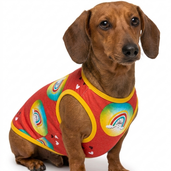Skatrs Boho Rainbow T-Shirt for Dogs and Cats