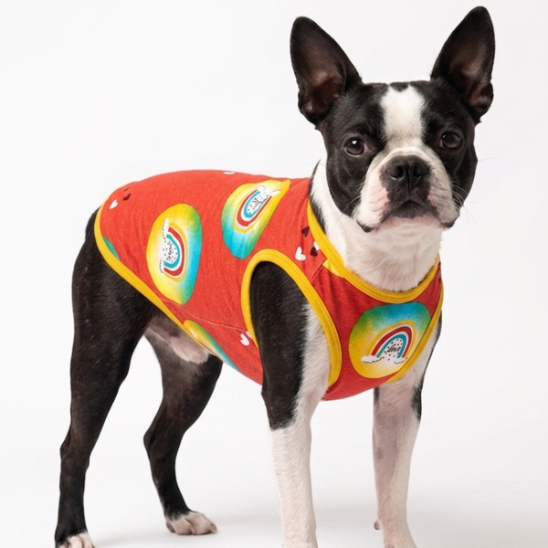 Skatrs Boho Rainbow T-Shirt for Dogs and Cats