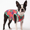 Skatrs Summer Float T-Shirt for Dogs and Cats Both-Clothing & Accessories Skatrs