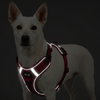 Skatrs Fully Padded Reflective Harness for Dogs & Cats (Maroon) Both-Collar, Leashes, harnesses Skatrs