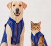 Skatrs Maharaja Handcrafted Sherwani for Dogs and Cats (Sapphire Blue) Both-Clothing & Accessories Skatrs XS