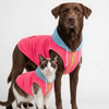 Skatrs Candy Sky Hoodie For Dogs and Cats Both-Clothing & Accessories Skatrs
