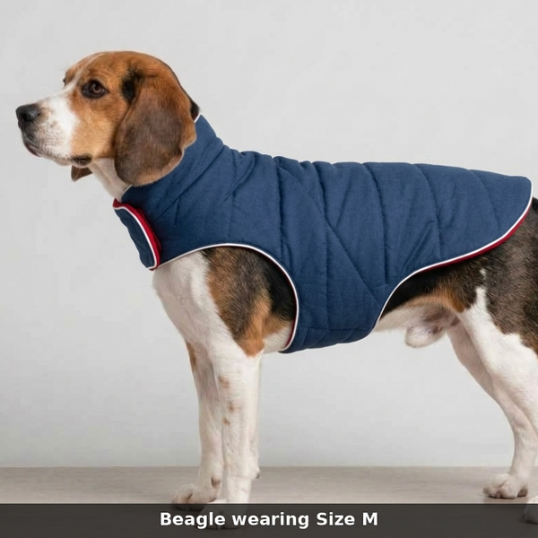 Skatrs Puffer Reversible Jacket for Dogs and Cats (Blue/Red)