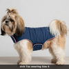 Skatrs Puffer Reversible Jacket for Dogs and Cats (Blue/Red) Both-Clothing & Accessories Skatrs