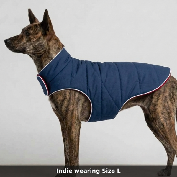 Skatrs Puffer Reversible Jacket for Dogs and Cats (Blue/Red)